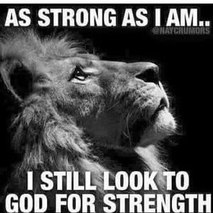 Meet your Posher, Calvin